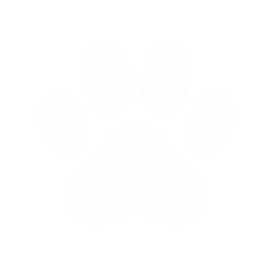 Pet care icon